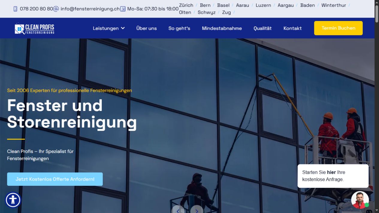 Clean Profis — website preview